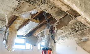 Best Post-Construction Mold Inspection  in New Bedford, PA